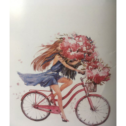 Ρόλερ Μονόχρωμο Ψηφιακής Εκτύπωσης E339 Bicycle Girl Anartisi