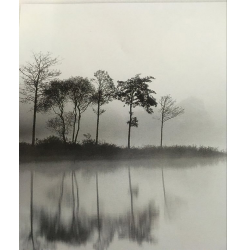 Ρόλερ Μονόχρωμο Ψηφιακής Εκτύπωσης E387 Lake In Fog Anartisi