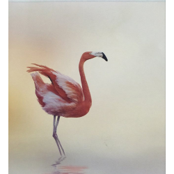 Ρόλερ Μονόχρωμο Ψηφιακής Εκτύπωσης E397 Flamingo Anartisi