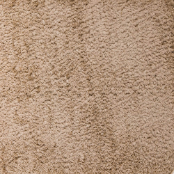 Μοκέτα Shaggy Σε Επιθυμητή Διάσταση Toscana Beige Ns Carpets