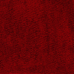 Μοκέτα Shaggy Σε Επιθυμητή Διάσταση Toscana Cherry Ns Carpets