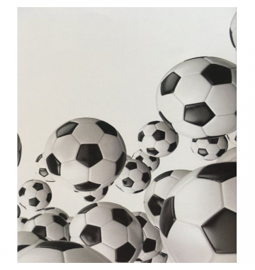 Ρόλερ Μονόχρωμο Ψηφιακής Εκτύπωσης E160 Footballs Anartisi