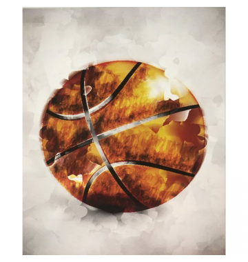 Ρόλερ Μονόχρωμο Ψηφιακής Εκτύπωσης E166 Basketball Anartisi