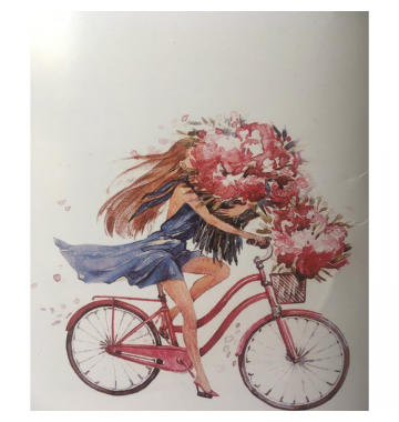 Ρόλερ Μονόχρωμο Ψηφιακής Εκτύπωσης E339 Bicycle Girl Anartisi