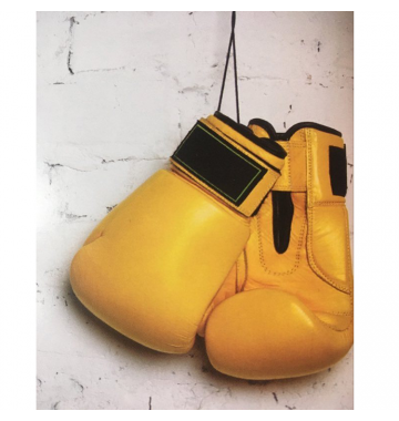 Ρόλερ Μονόχρωμο Ψηφιακής Εκτύπωσης E374 Boxing Gloves Anartisi