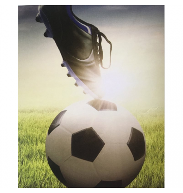 Ρόλερ Μονόχρωμο Ψηφιακής Εκτύπωσης E376 Football Anartisi