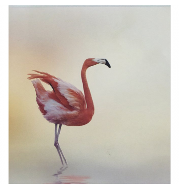 Ρόλερ Μονόχρωμο Ψηφιακής Εκτύπωσης E397 Flamingo Anartisi