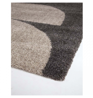 Χαλί Μοντέρνο Lilly 314/649 160x230 Royal Carpet