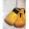 Ρόλερ Μονόχρωμο Ψηφιακής Εκτύπωσης E374 Boxing Gloves Anartisi