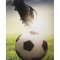 Ρόλερ Μονόχρωμο Ψηφιακής Εκτύπωσης E376 Football Anartisi