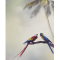 Ρόλερ Μονόχρωμο Ψηφιακής Εκτύπωσης E409 Parrots Anartisi